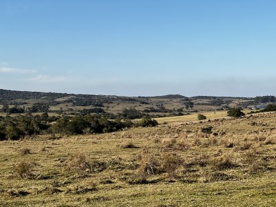 Chacra en Garzón a la venta a 5 kmts del Pueblo y a 30 kmts de Jose Ignacio