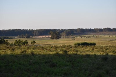 Espectacular tierra en ruta 104