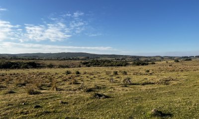 Chacra en Garzón a la venta a 5 kmts del Pueblo y a 30 kmts de Jose Ignacio