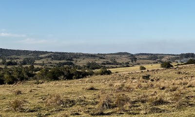 Chacra en Garzón a la venta a 5 kmts del Pueblo y a 30 kmts de Jose Ignacio