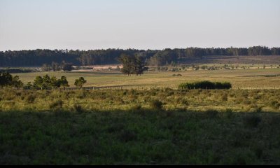 Espectacular tierra en ruta 104