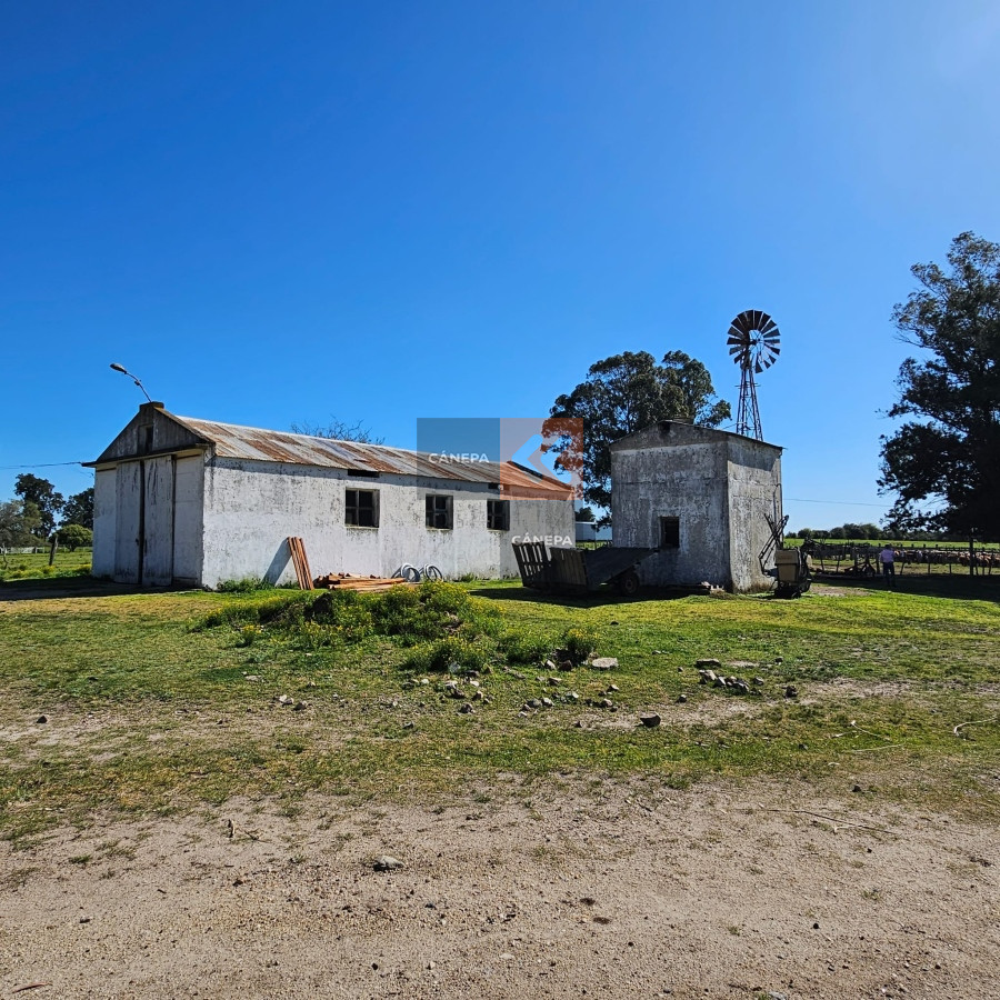 Excepcional campo Agrícola ganadero en San José - GoPunta - Portal Inmobiliario de Punta del Este - Maldonado