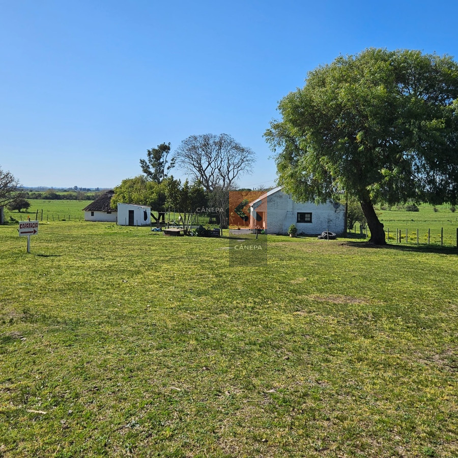 Excepcional campo Agrícola ganadero en San José - GoPunta - Portal Inmobiliario de Punta del Este - Maldonado