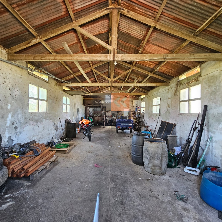 Excepcional campo Agrícola ganadero en San José - GoPunta - Portal Inmobiliario de Punta del Este - Maldonado