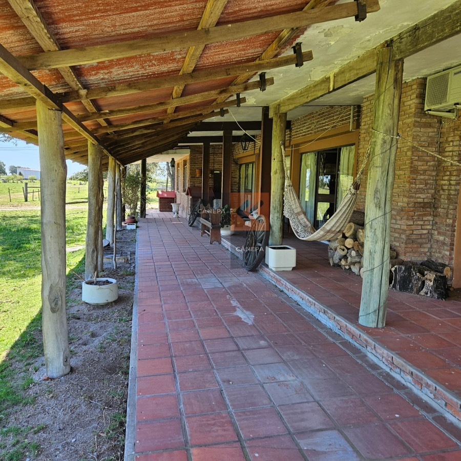 Excepcional campo Agrícola ganadero en San José - GoPunta - Portal Inmobiliario de Punta del Este - Maldonado