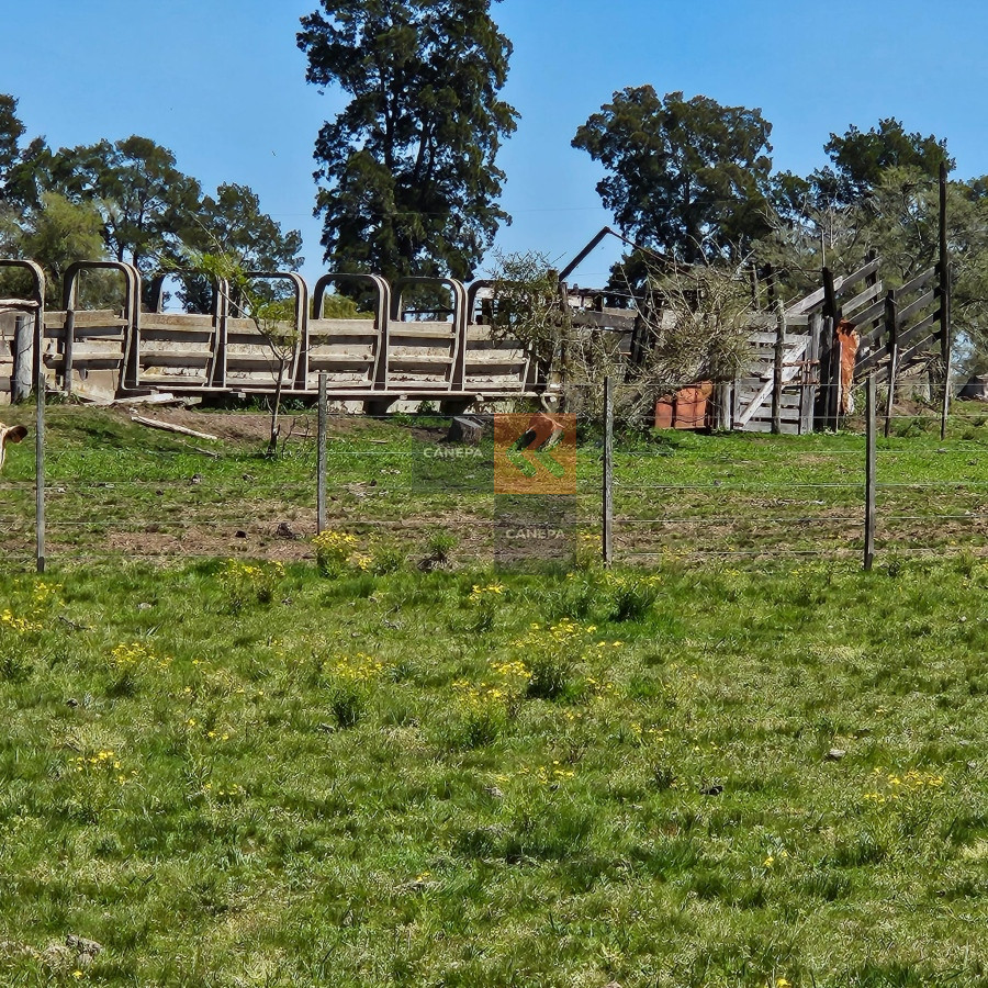 Excepcional campo Agrícola ganadero en San José - GoPunta - Portal Inmobiliario de Punta del Este - Maldonado