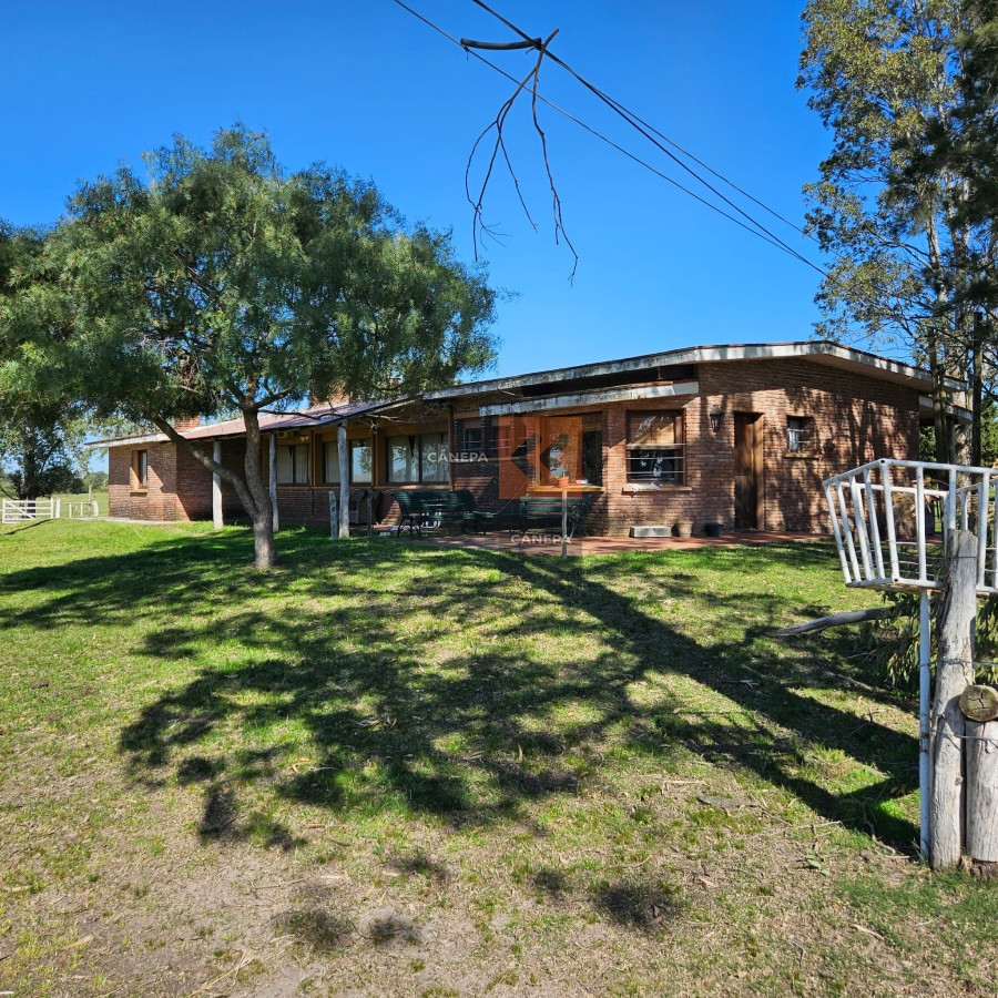 Excepcional campo Agrícola ganadero en San José - GoPunta - Portal Inmobiliario de Punta del Este - Maldonado