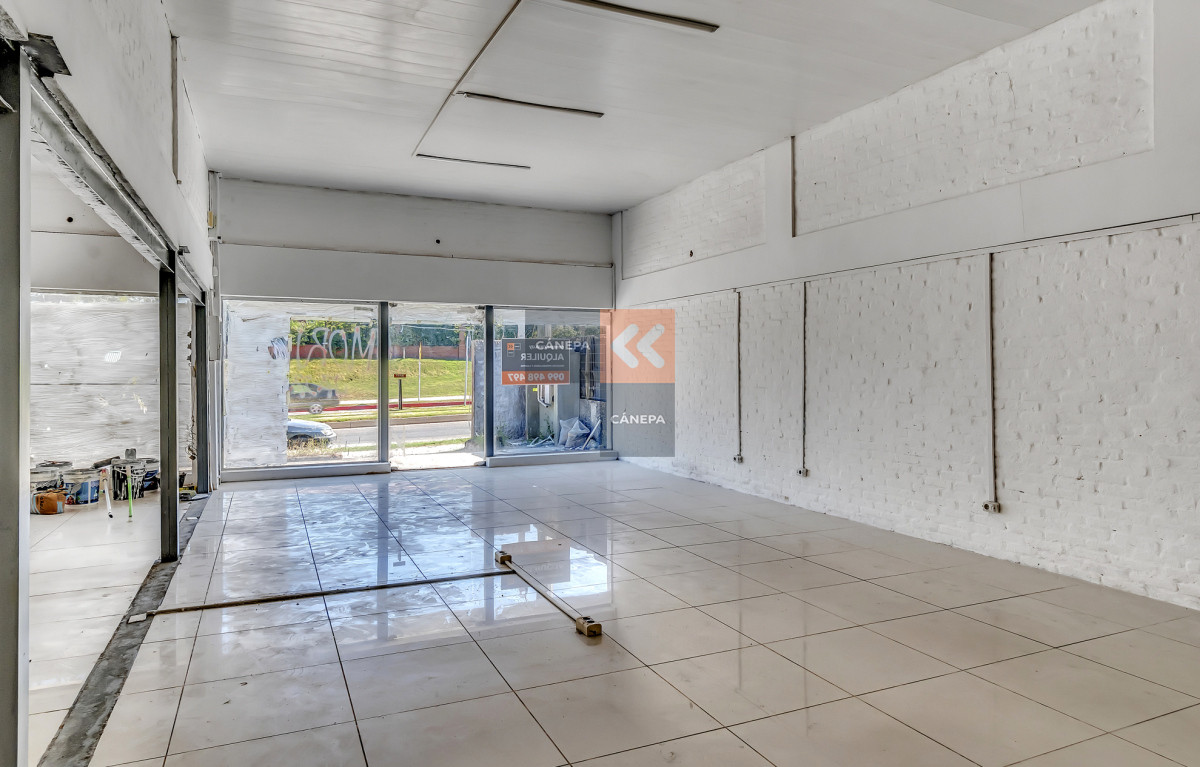 Maldonado - GoPunta - Portal Inmobiliario de Punta del Este - Maldonado