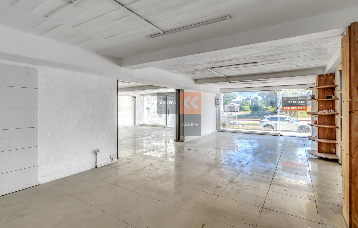 Maldonado - GoPunta - Portal Inmobiliario de Punta del Este - Maldonado