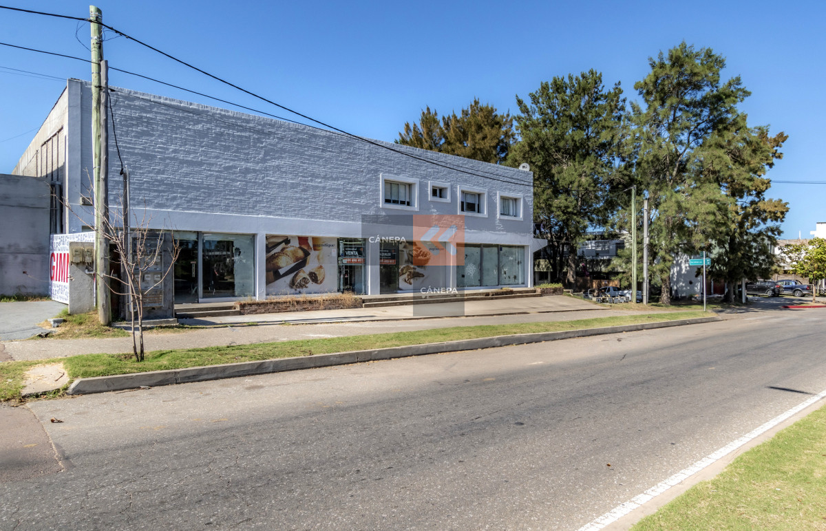 Maldonado - GoPunta - Portal Inmobiliario de Punta del Este - Maldonado