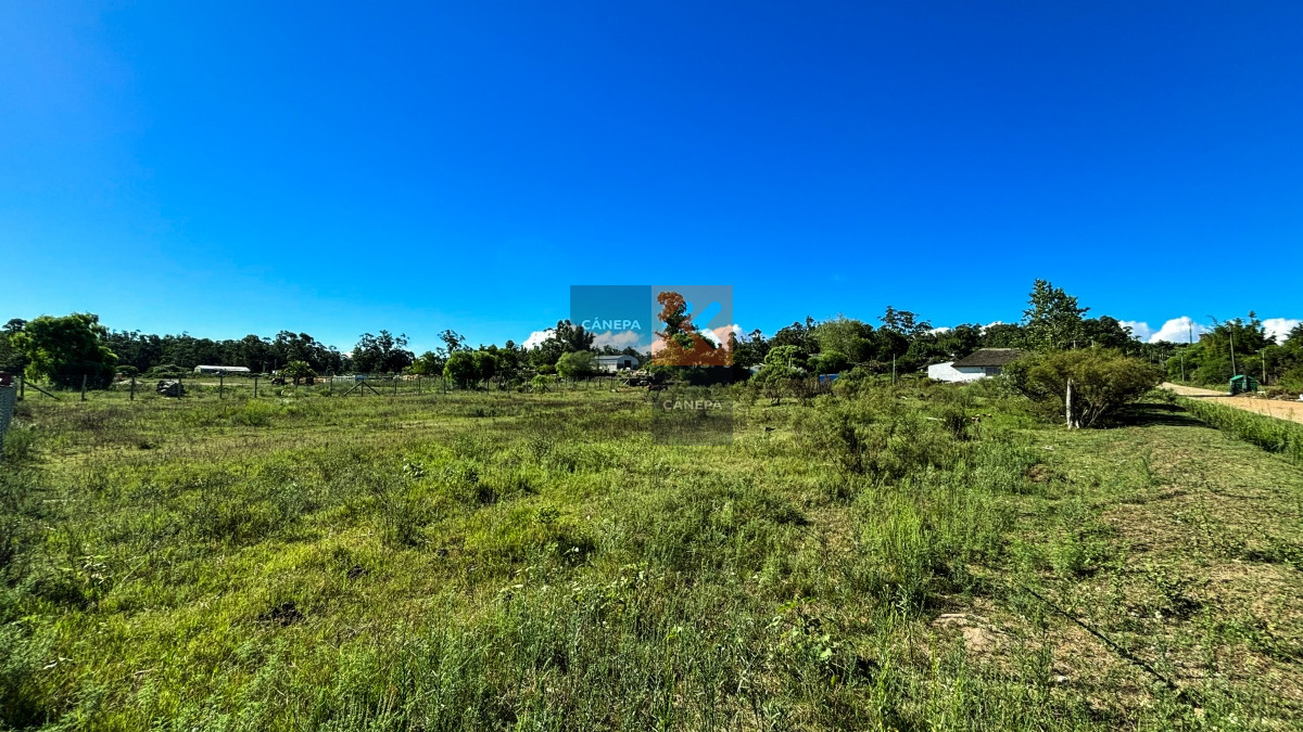 Pueblo Obrero - GoPunta - Portal Inmobiliario de Punta del Este - Maldonado