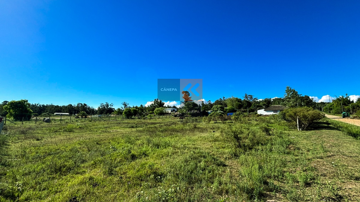 Pueblo Obrero - GoPunta - Portal Inmobiliario de Punta del Este - Maldonado