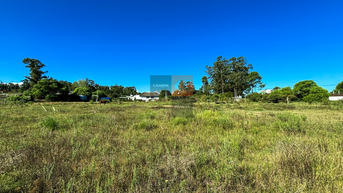 Pueblo Obrero - GoPunta - Portal Inmobiliario de Punta del Este - Maldonado