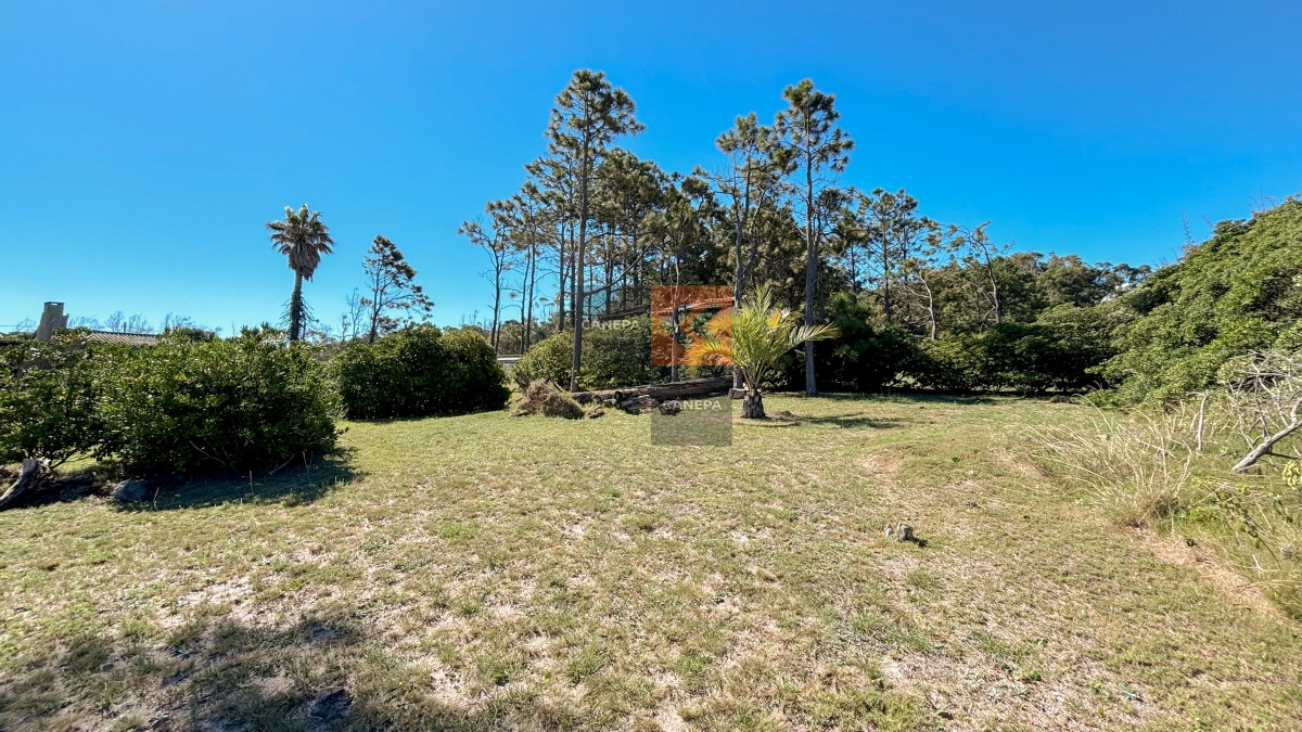 Bella Vista - GoPunta - Portal Inmobiliario de Punta del Este - Maldonado