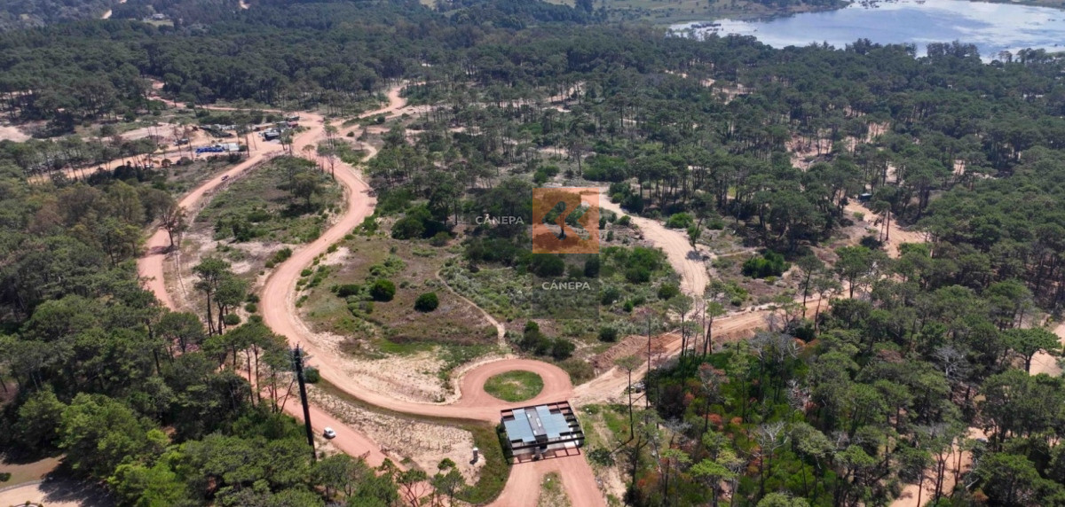 Montoya - GoPunta - Portal Inmobiliario de Punta del Este - Maldonado