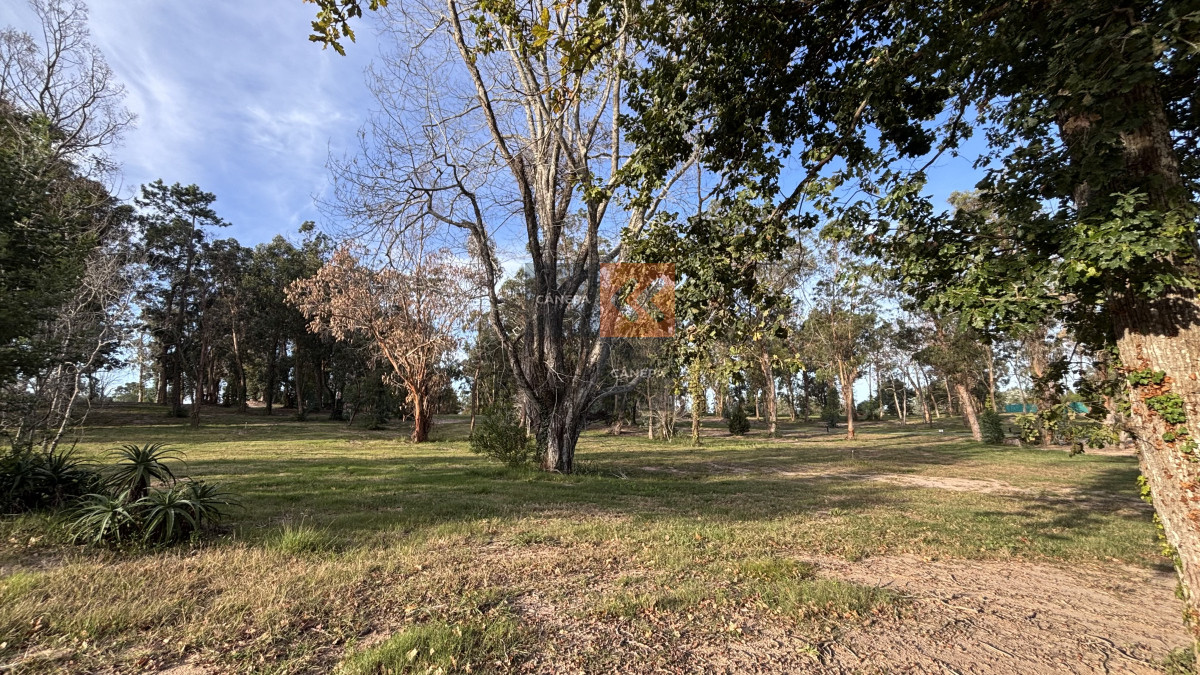 Distrito 52 - GoPunta - Portal Inmobiliario de Punta del Este - Maldonado
