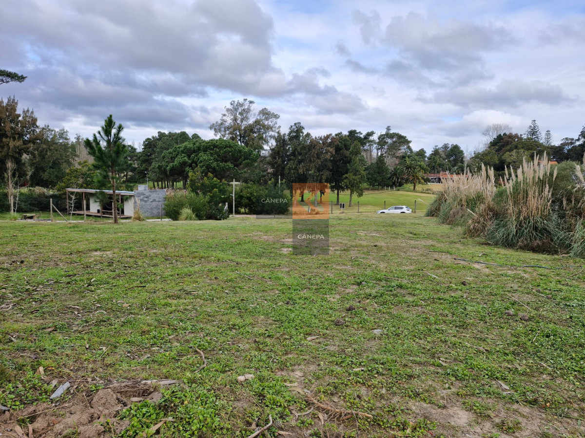 San Rafael - GoPunta - Portal Inmobiliario de Punta del Este - Maldonado