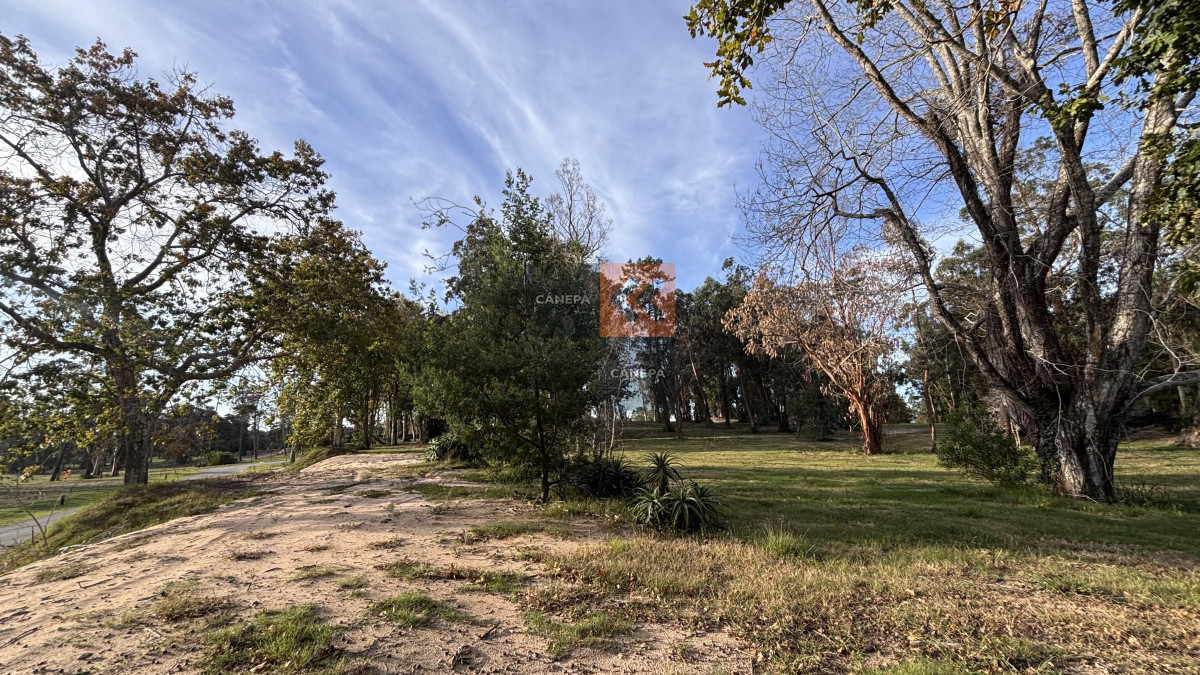 Distrito 52 - GoPunta - Portal Inmobiliario de Punta del Este - Maldonado