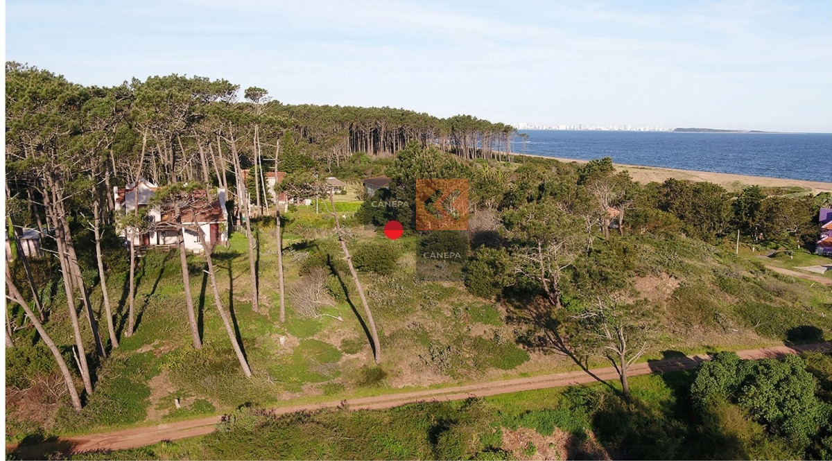 Cantamar - GoPunta - Portal Inmobiliario de Punta del Este - Maldonado