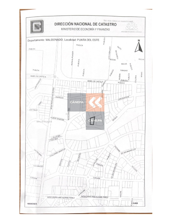 San Rafael - GoPunta - Portal Inmobiliario de Punta del Este - Maldonado