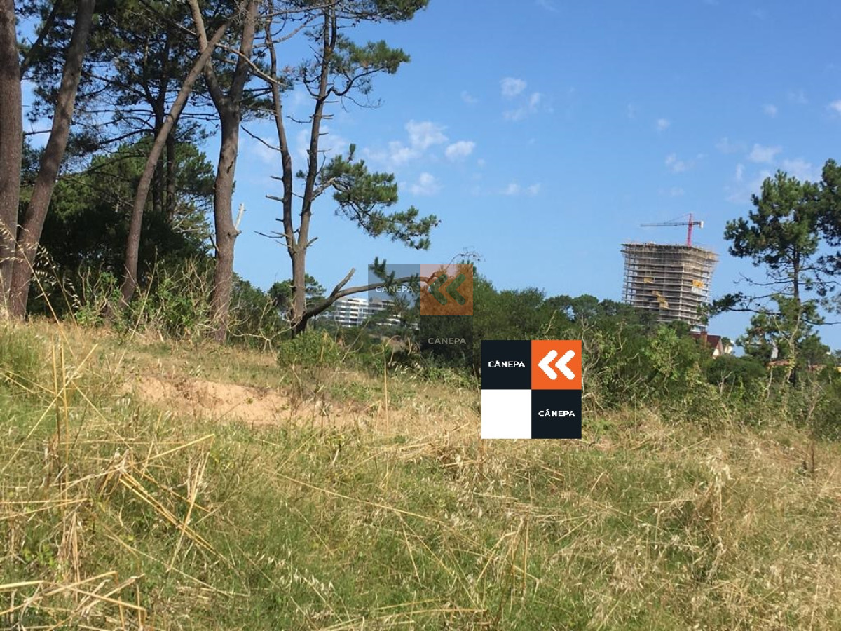 Rincón del Indio - GoPunta - Portal Inmobiliario de Punta del Este - Maldonado