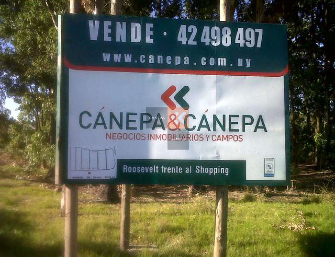 Terreno