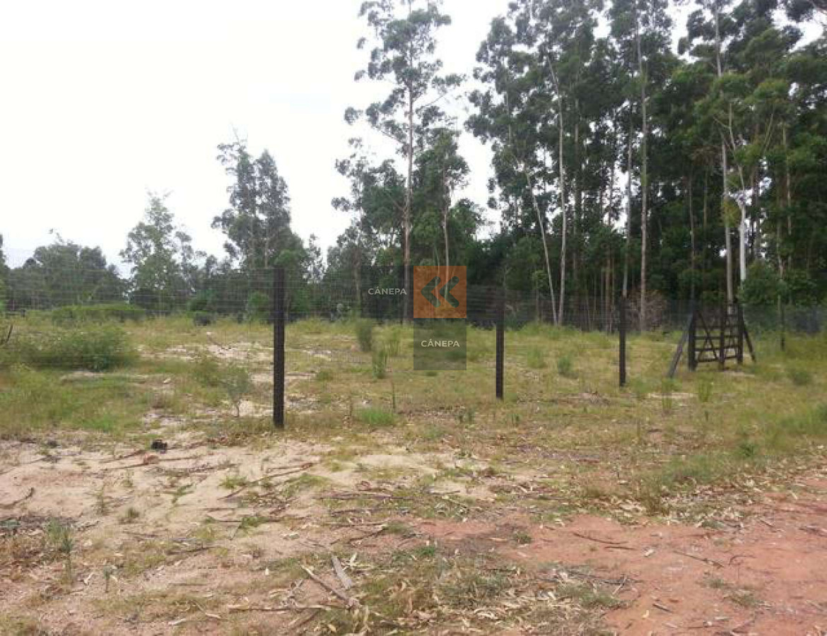 Burnett - GoPunta - Portal Inmobiliario de Punta del Este - Maldonado