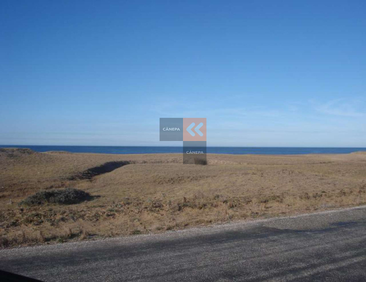 Zona Rural - GoPunta - Portal Inmobiliario de Punta del Este - Maldonado