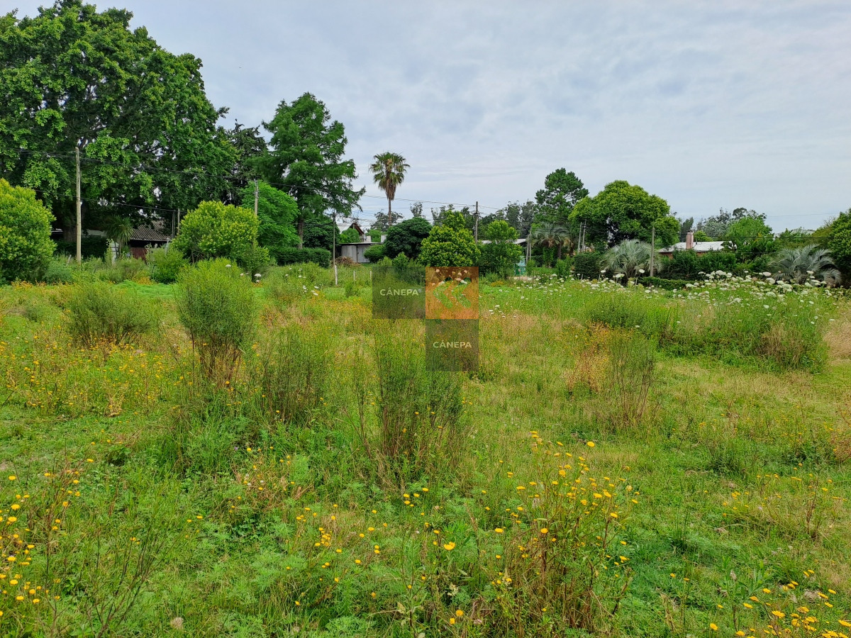 Terreno