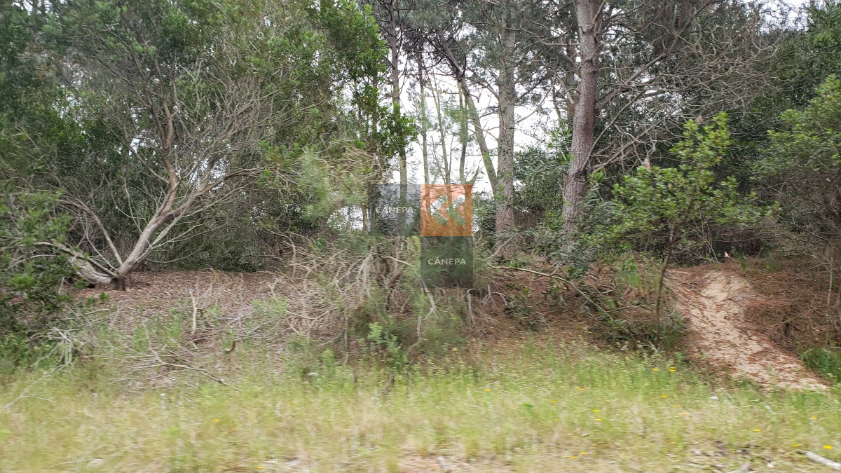 Solanas - GoPunta - Portal Inmobiliario de Punta del Este - Maldonado