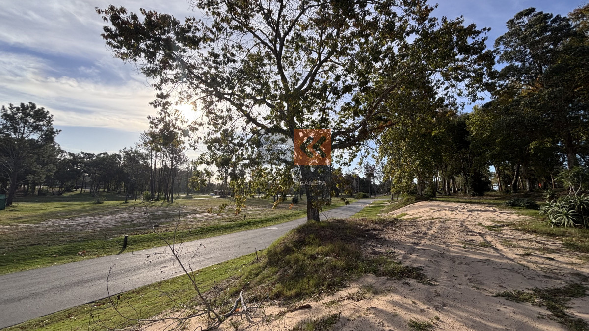 Distrito 52 - GoPunta - Portal Inmobiliario de Punta del Este - Maldonado