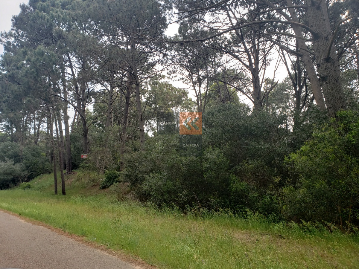 Solanas - GoPunta - Portal Inmobiliario de Punta del Este - Maldonado