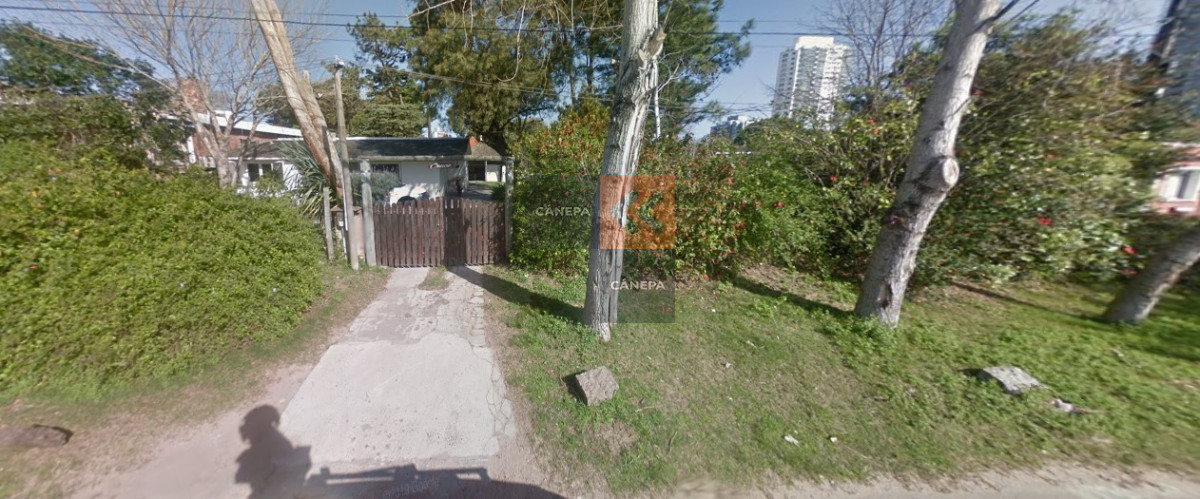Pedragosa Sierra - GoPunta - Portal Inmobiliario de Punta del Este - Maldonado