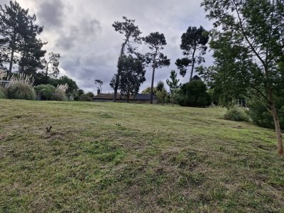Terreno en Oportunidad