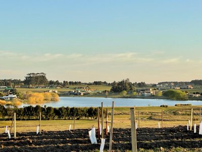 Terreno en Venta en Barrio Privado