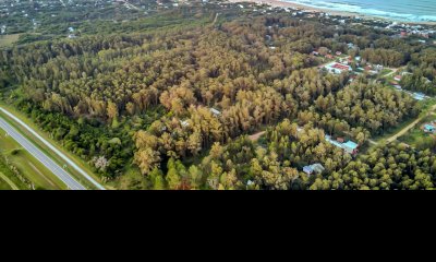 Terreno  de 1.5 has en la Pedrera, para desarrollo inmobiliario