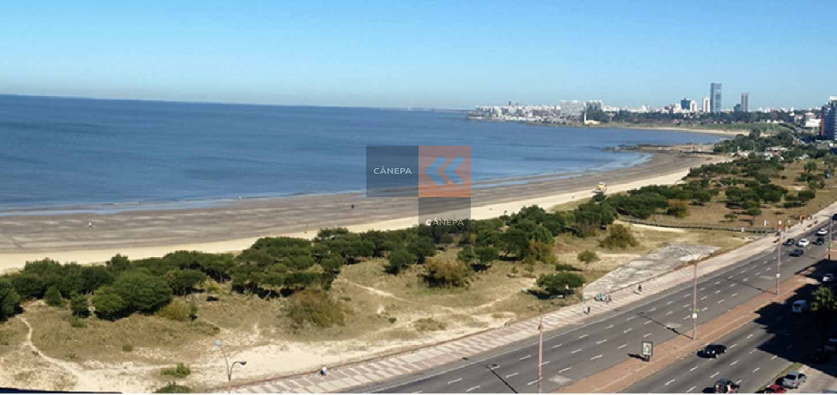 Malvi­n - GoPunta - Portal Inmobiliario de Punta del Este - Maldonado