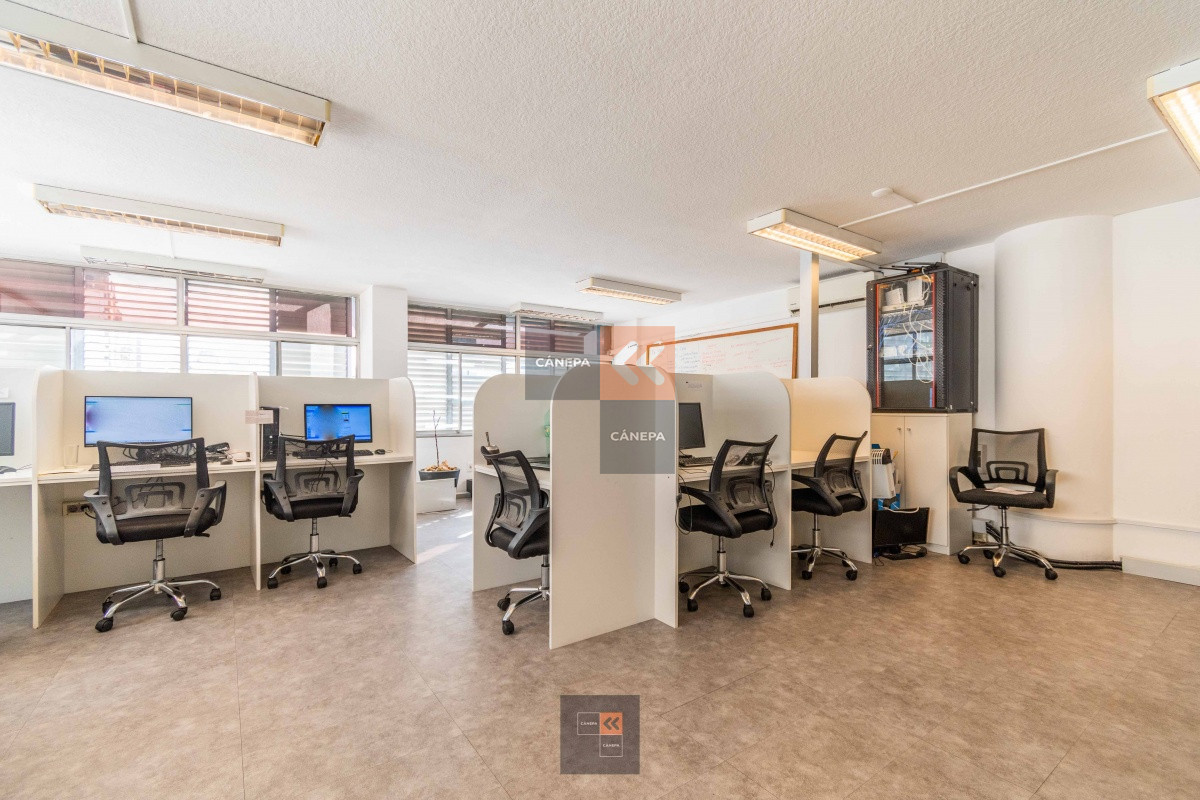 Cordón - GoPunta - Portal Inmobiliario de Punta del Este - Maldonado