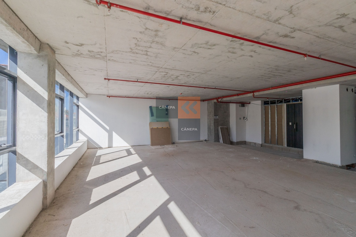 Carrasco - GoPunta - Portal Inmobiliario de Punta del Este - Maldonado