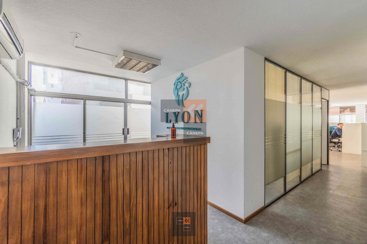 Cordón - GoPunta - Portal Inmobiliario de Punta del Este - Maldonado