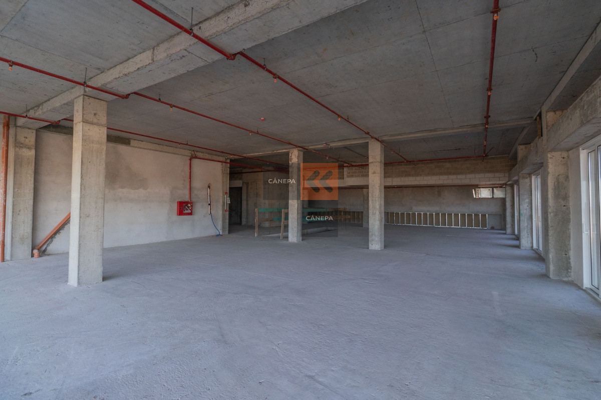 Carrasco - GoPunta - Portal Inmobiliario de Punta del Este - Maldonado