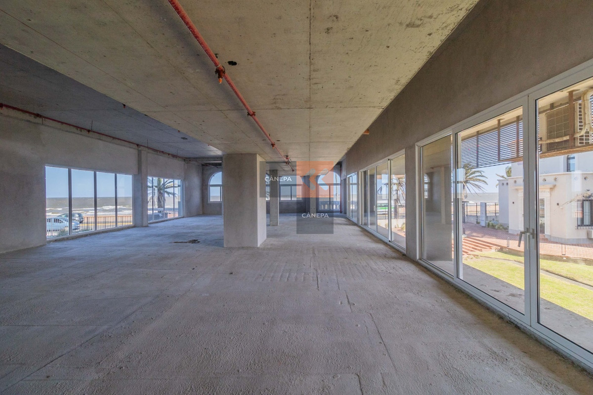 Carrasco - GoPunta - Portal Inmobiliario de Punta del Este - Maldonado
