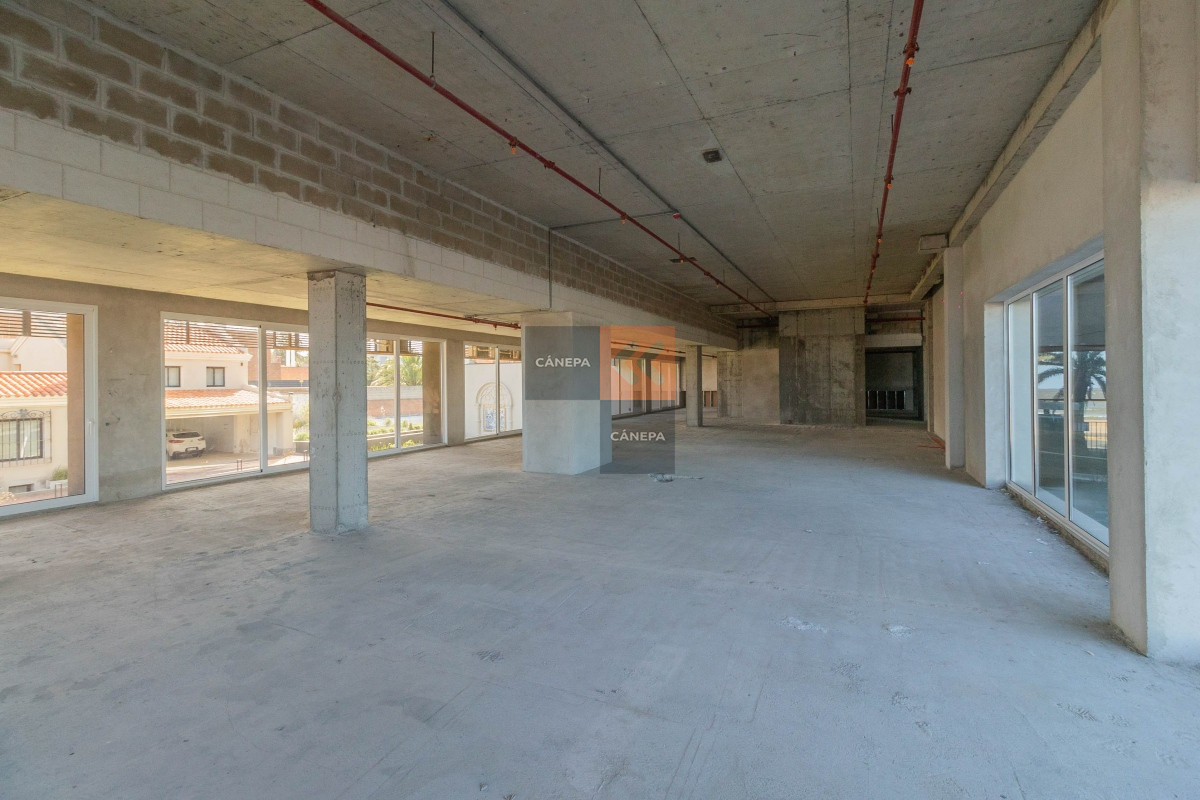 Carrasco - GoPunta - Portal Inmobiliario de Punta del Este - Maldonado