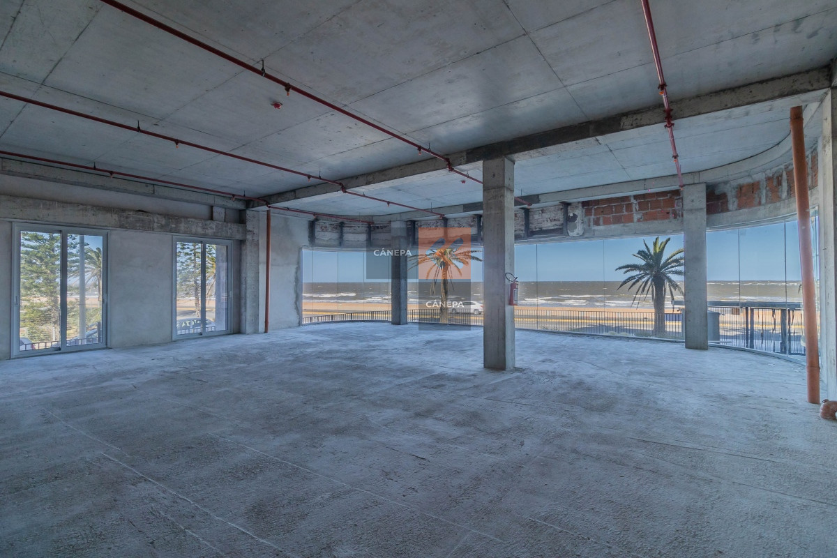 Carrasco - GoPunta - Portal Inmobiliario de Punta del Este - Maldonado