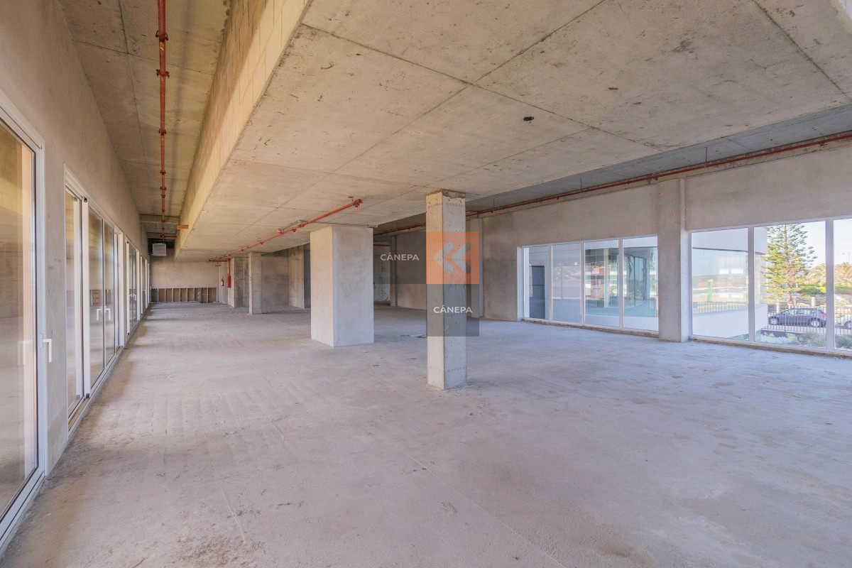 Carrasco - GoPunta - Portal Inmobiliario de Punta del Este - Maldonado