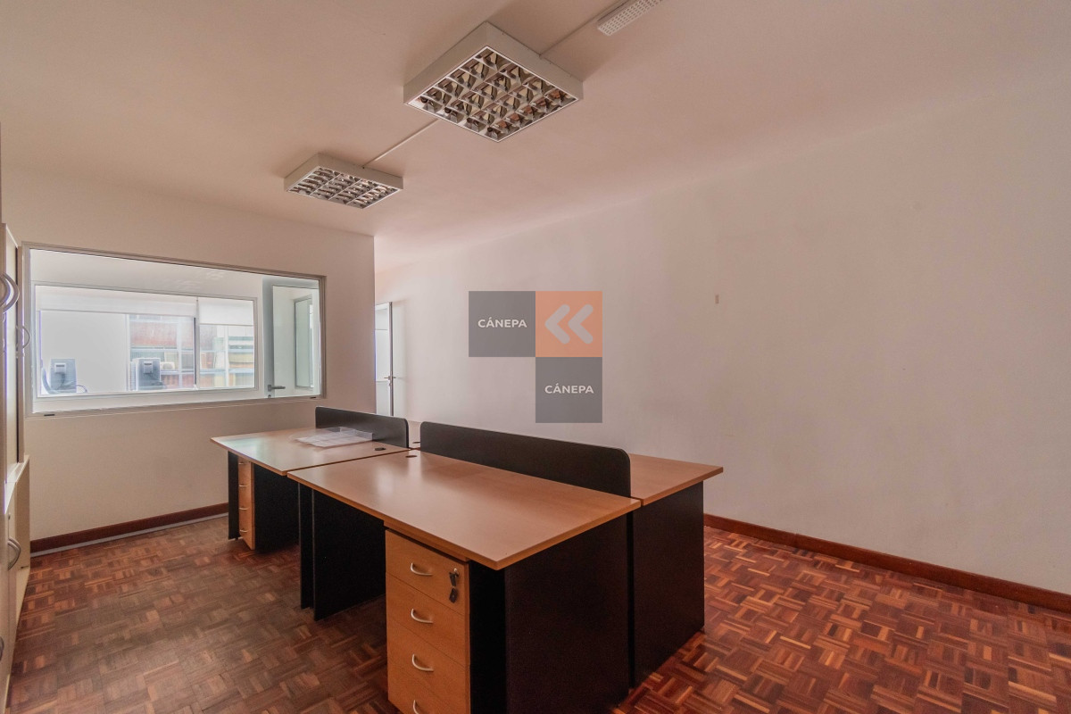Ciudad Vieja - GoPunta - Portal Inmobiliario de Punta del Este - Maldonado