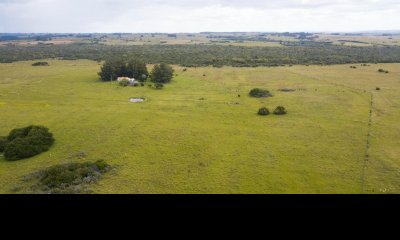 Garzon,sobre camino Sainz Martinez