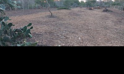 Terreno en El Caracol C21M5