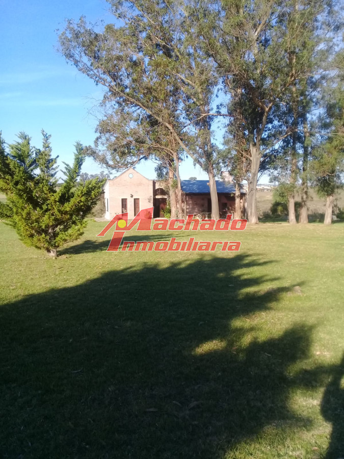 Ruta 39 - GoPunta - Portal Inmobiliario de Punta del Este - Maldonado