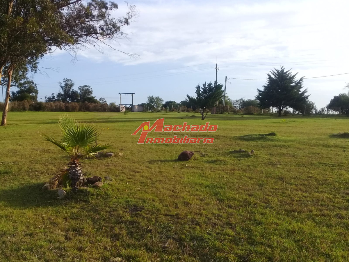 Ruta 39 - GoPunta - Portal Inmobiliario de Punta del Este - Maldonado